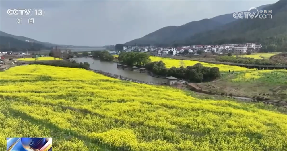 “花样经济”带动乡村旅游全产业链发展 春日文旅市场勾勒“好花常开”画卷