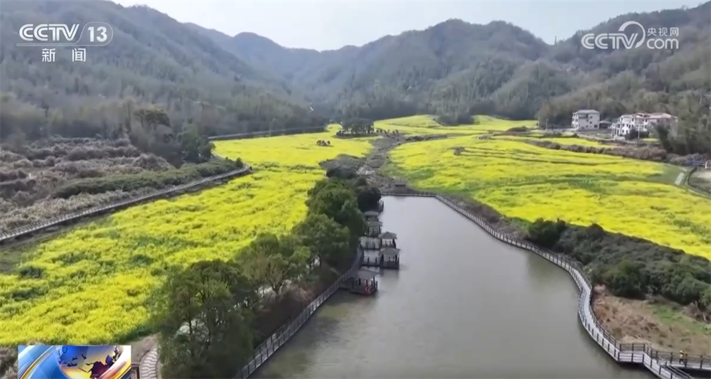 “花样经济”带动乡村旅游全产业链发展 春日文旅市场勾勒“好花常开”画卷