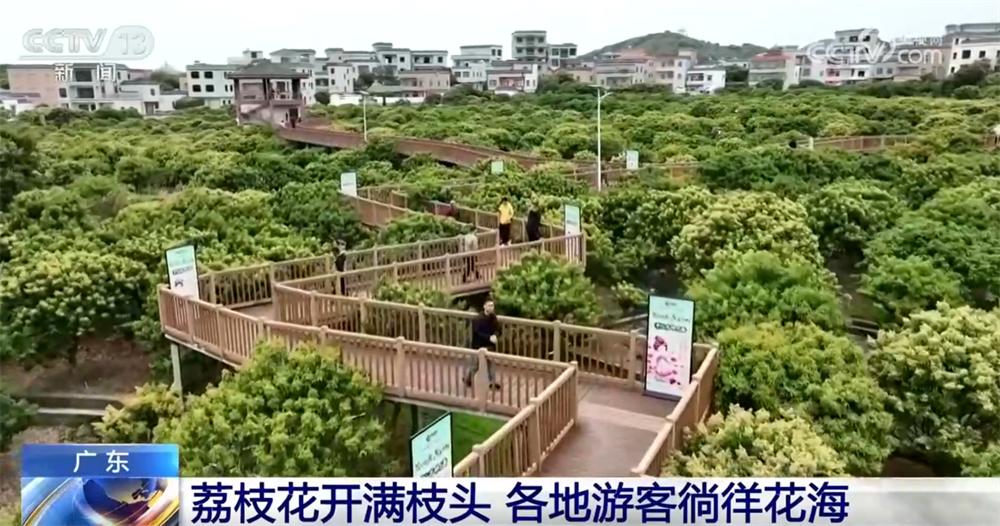 “花样经济”带动乡村旅游全产业链发展 春日文旅市场勾勒“好花常开”画卷