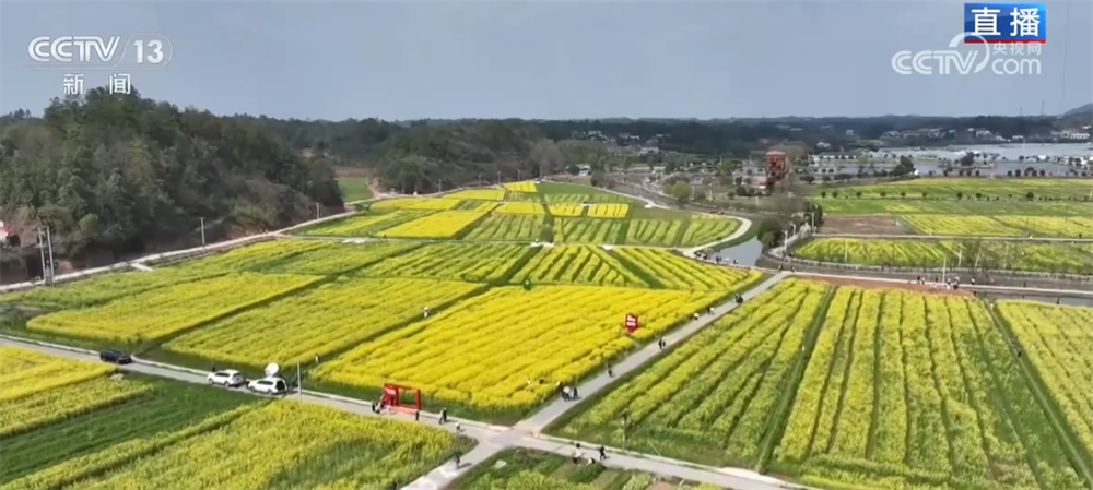 繁花竞放催热“春日经济” 多地围绕“春景产业”深耕文旅市场