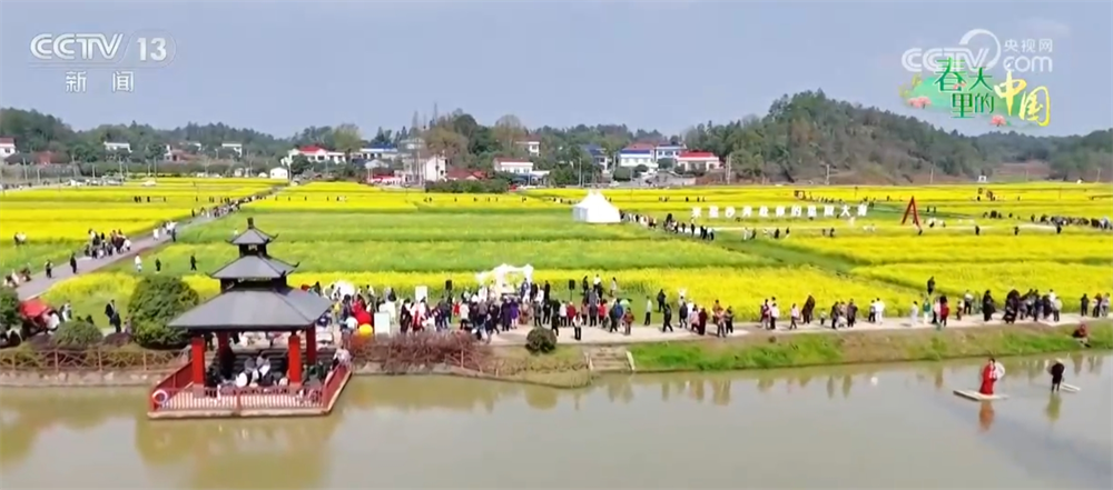 繁花竞放催热“春日经济” 多地围绕“春景产业”深耕文旅市场