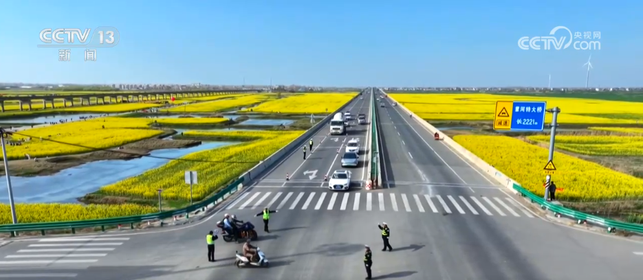 种田就是种风景 看各地如何抢抓“赏花经济”流量红利