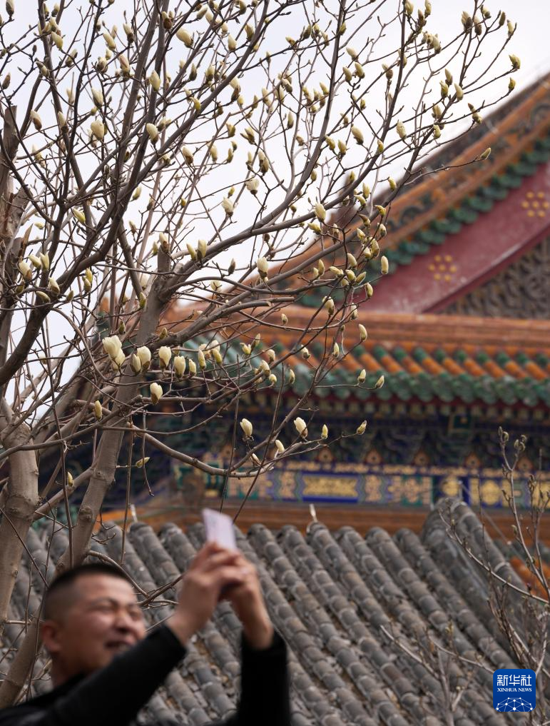 清明踏春正当时