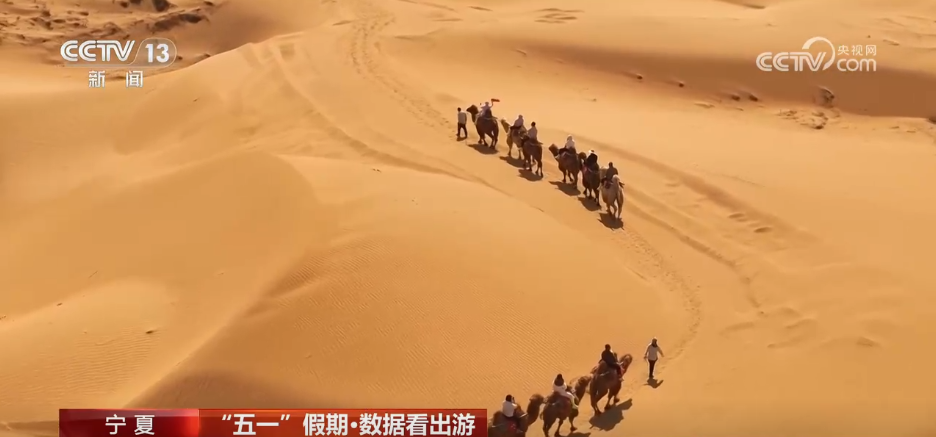 透过数据看“五一”假期文旅市场热力十足