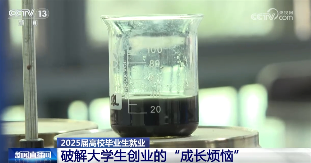 @高校毕业生，“稳就业+促就业”新岗位、新机遇、新支持来了！
