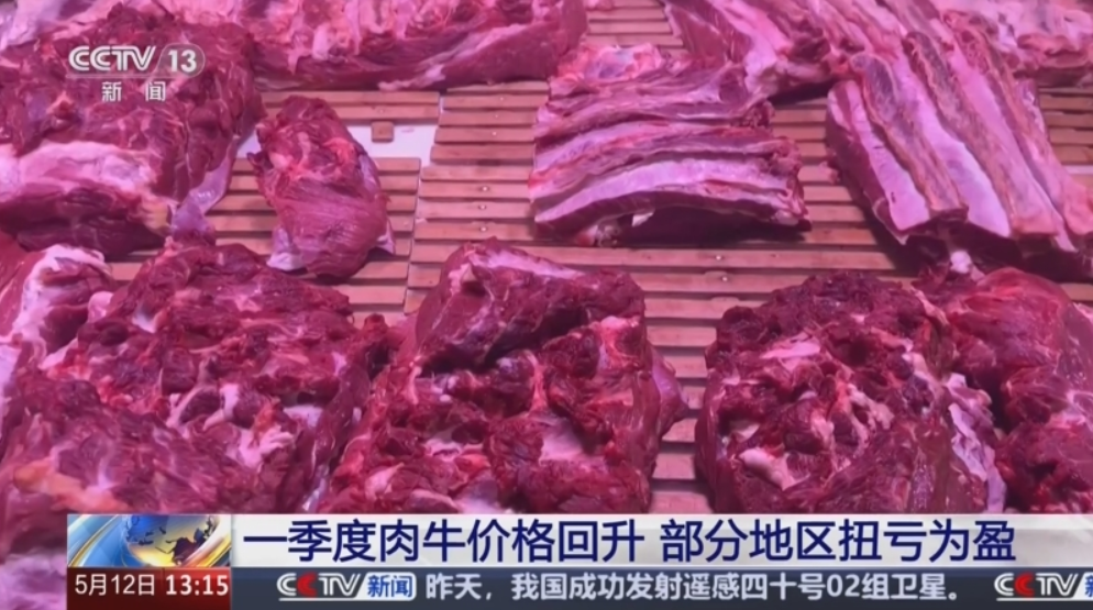 构建现代饲草产业 做好饲料“文章” 更好保障国家粮食安全与重要农产品供给