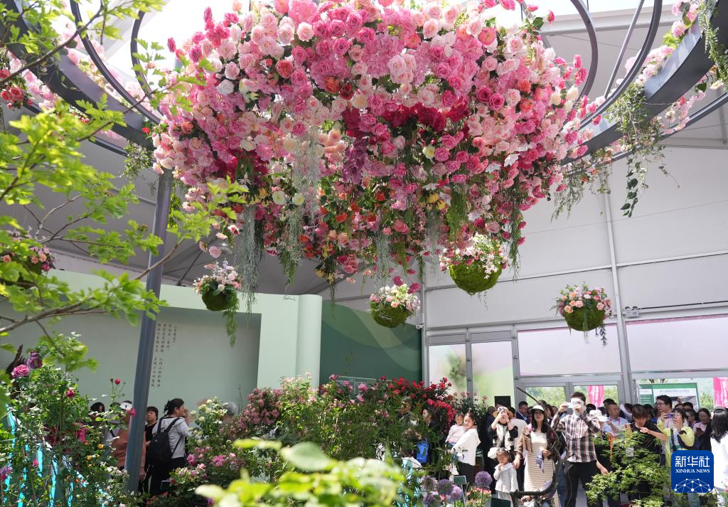 第九届国际月季大会在北京举办