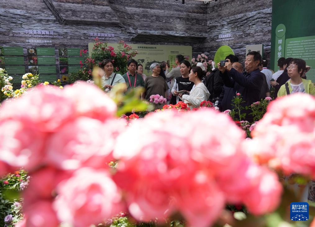 第九届国际月季大会在北京举办