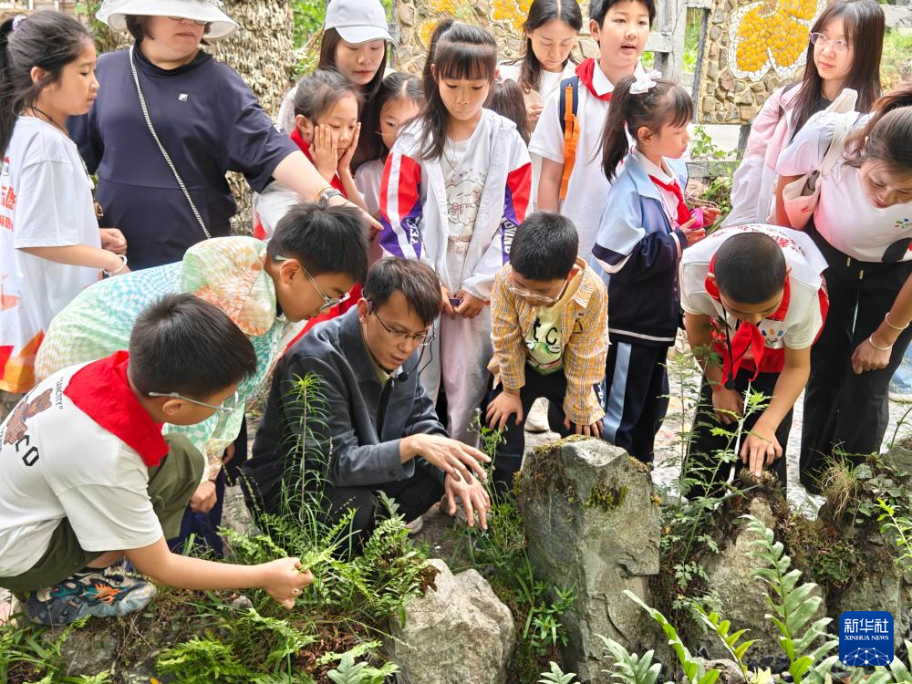 父子携手17载守护汶川这片“植物王国”