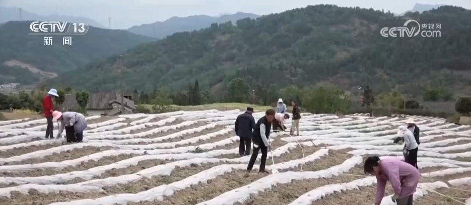 打好抗旱保供“组合拳” 全力守护群众生产生活用水安全