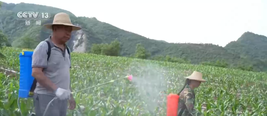 打好抗旱保供“组合拳” 全力守护群众生产生活用水安全