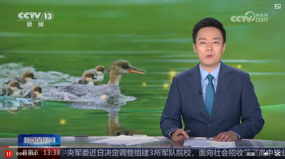 多举措绘就生态画卷：珍稀物种种群恢复 栖息地生机盎然