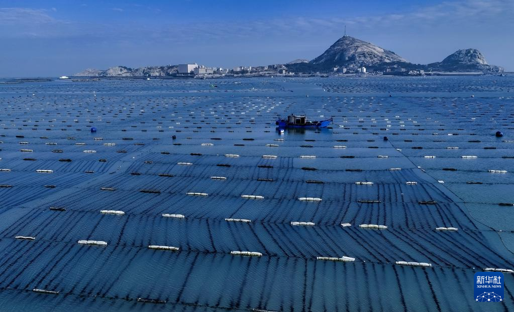 稳外贸 福建莆田鲍鱼“出海”忙