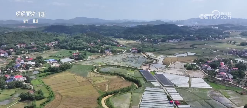科技助力“三夏”开启“加速度” 广袤田野唱响丰收赞歌