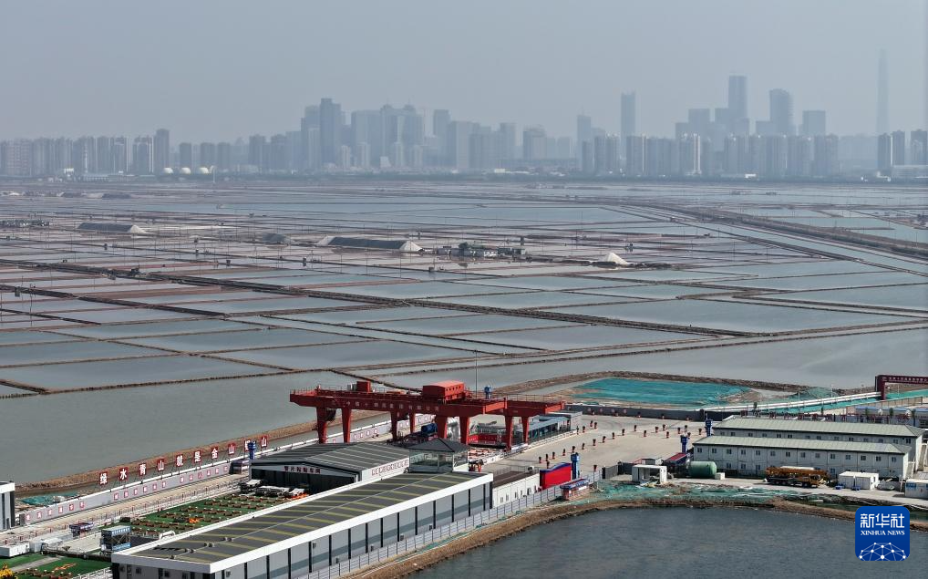 “千里海河高铁第一隧”成功穿越海河