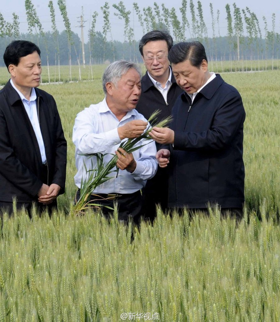 开发研究丨是贡献和奉献精神 - 秘书长XI Jinping和