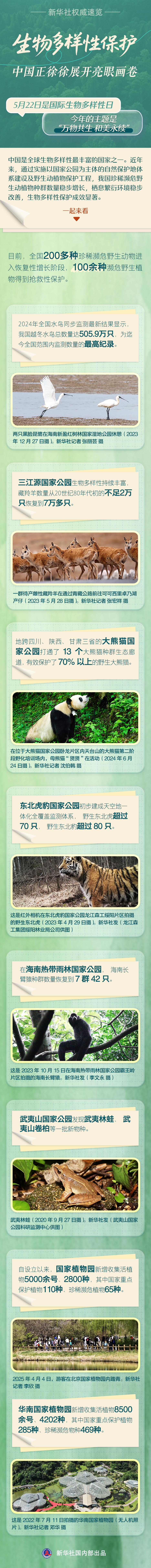 生物多样性保护，中国正徐徐展开亮眼画卷
