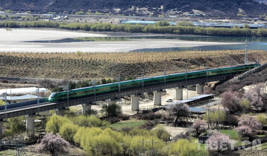 恰乘春风浩荡时——写在西藏和平解放74周年之际