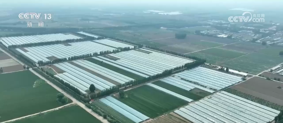特色产业成为村民增收致富“良方” 小“莓”好串起乡村致富链