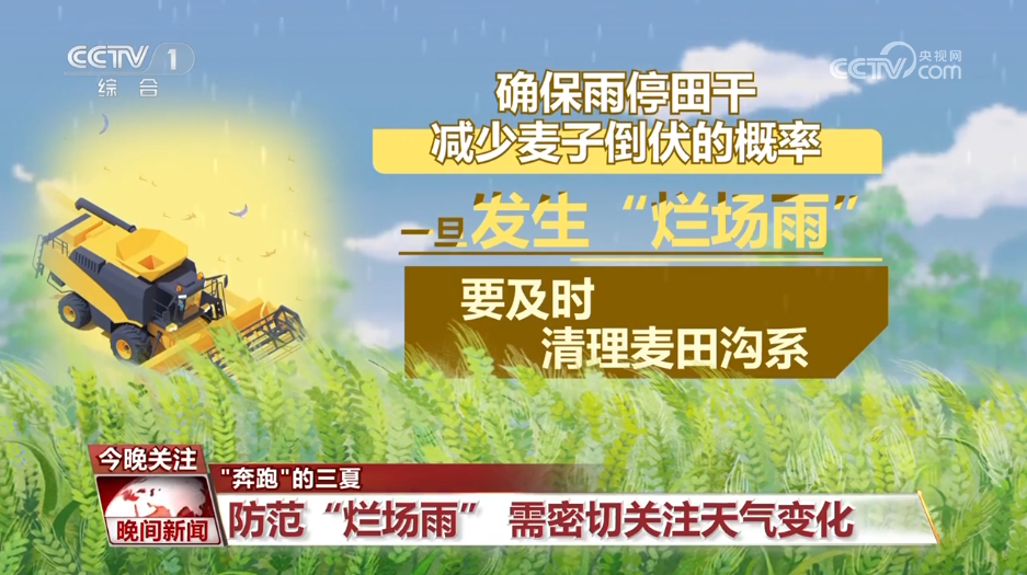 “奔跑”的三夏 | 降雨天气对夏收有何影响？该如何防范？一文了解