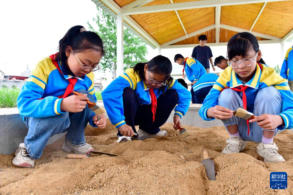 文化中国行｜山东岚山：在尧王城遗址探寻龙山文化
