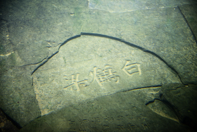巴蜀文化旅游走廊：从“川渝样板”到“世界舞台”