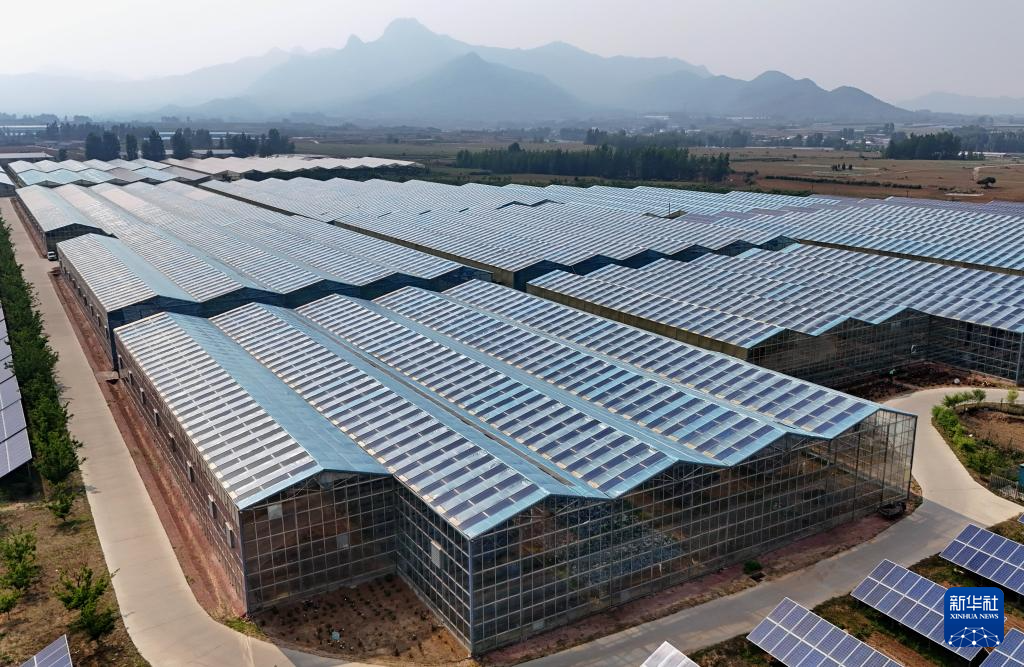 河北秦皇岛：清洁能源装机并网容量占比超57%