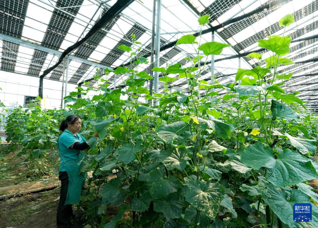 河北秦皇岛：清洁能源装机并网容量占比超57%