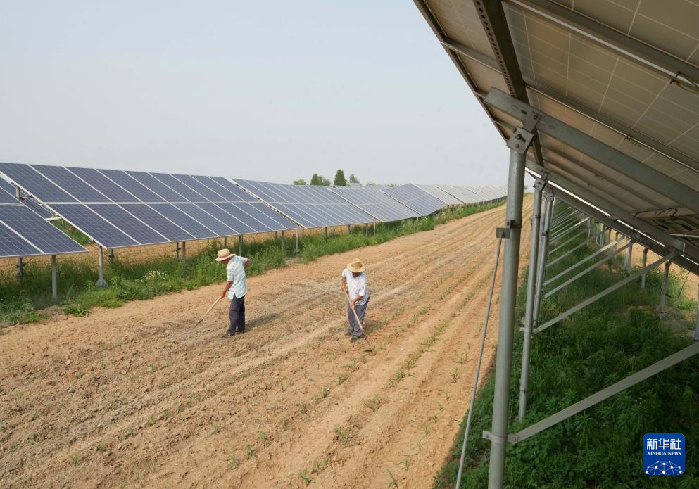 河北秦皇岛：清洁能源装机并网容量占比超57%