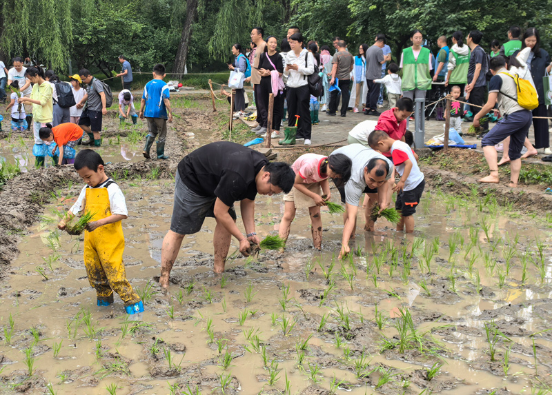 北京公园端午假期接待游客449.21万人次