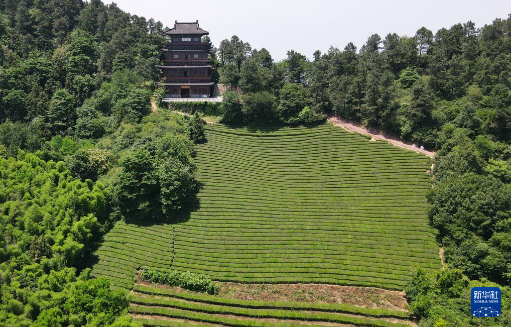 诗意中国丨诗仙李白钟情的这片山水
