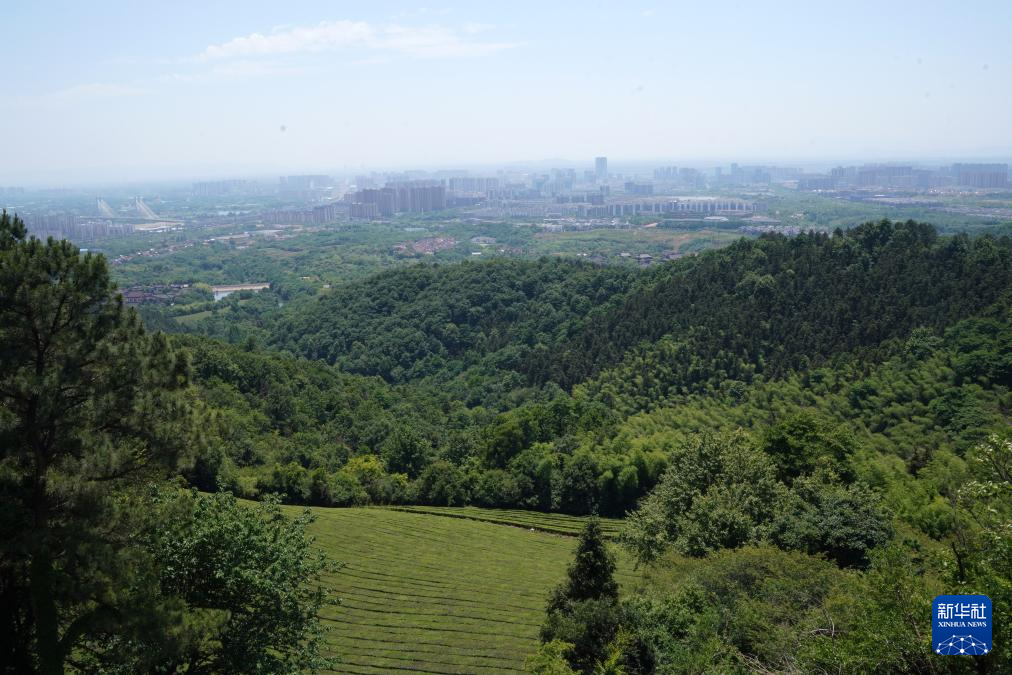 诗意中国丨诗仙李白钟情的这片山水