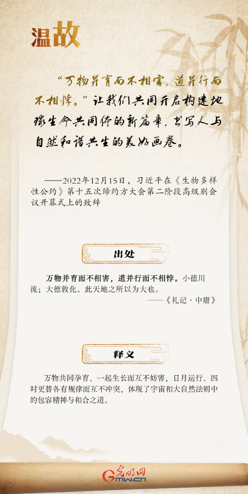 世界环境日丨习近平引经据典论生态环境保护
