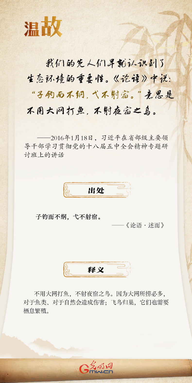 世界环境日丨习近平引经据典论生态环境保护
