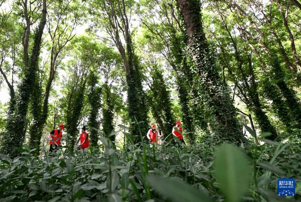 世界环境日：美丽中国我先行