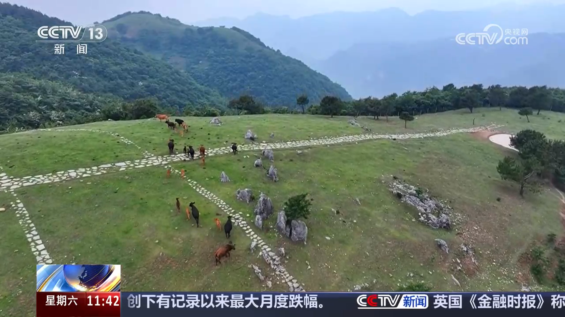 生态好了游客多了 多元消费新场景激发夏日经济新活力