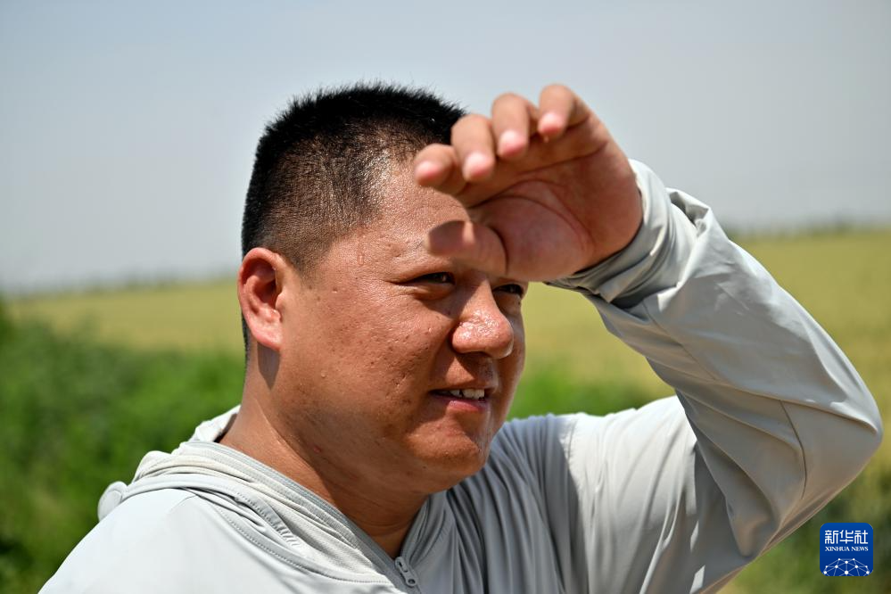 图片故事丨山西永济：种粮大户收获忙
