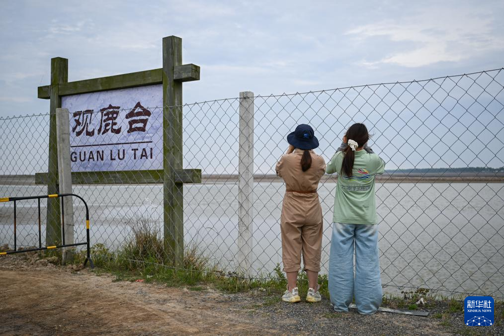 滨海湿地边的麋鹿守护者