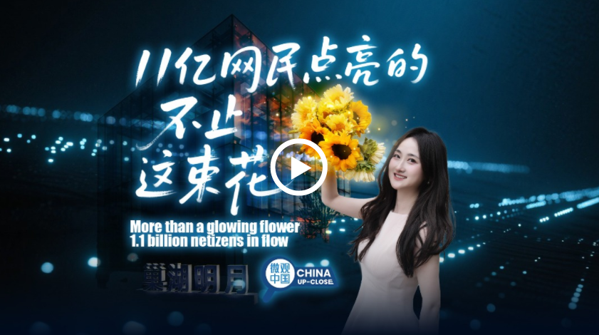 11亿网民点亮的不止这束花