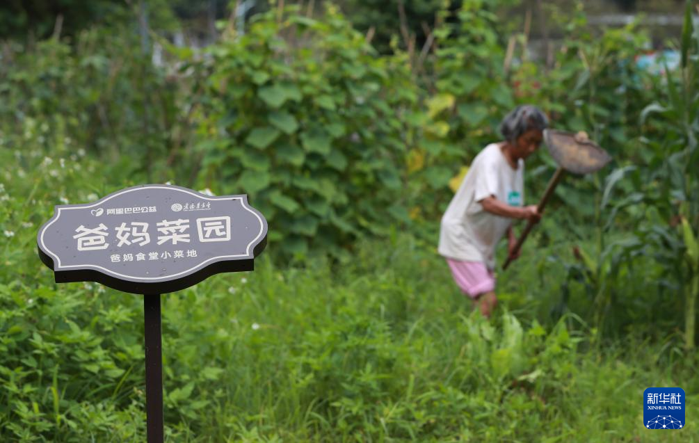 大山深处的“长者饭堂”