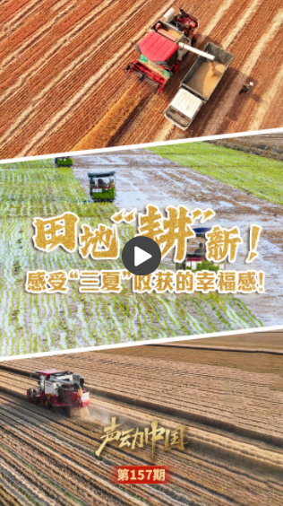 声动中国丨田地“耕”新！感受“三夏”收获的幸福感！