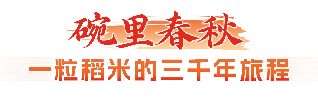 文化中国行｜江流文脉，城聚烟火