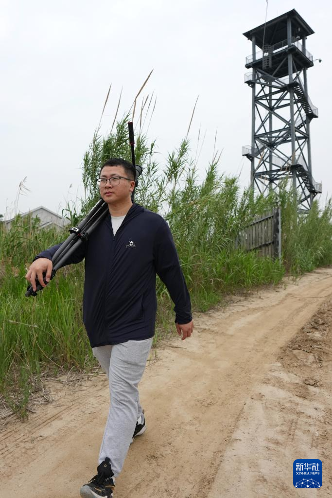 守护湿地珍禽的年轻人