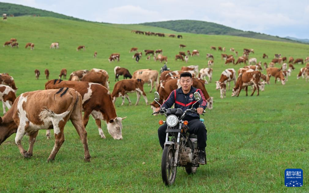 美丽中国｜阿鲁科尔沁草原夏日景色
