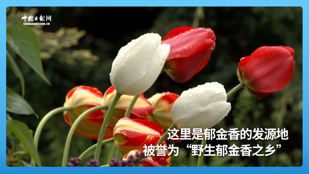 跟着习主席看世界 | 走进哈萨克斯坦，谱写中国－中亚命运共同体新篇章