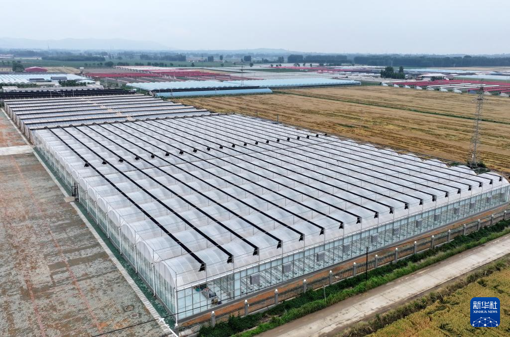河北卢龙：发展设施农业促农增收