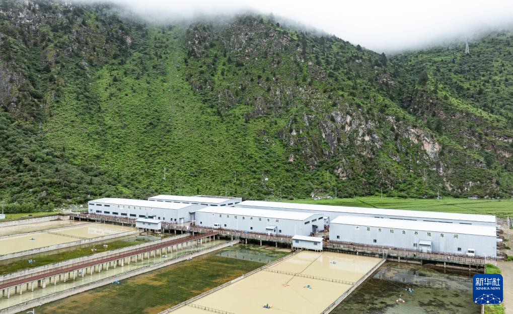 西藏亚东：山高谷深鲑鱼肥