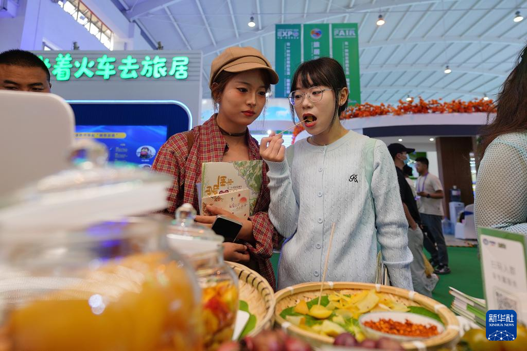走进南博会旅居云南馆