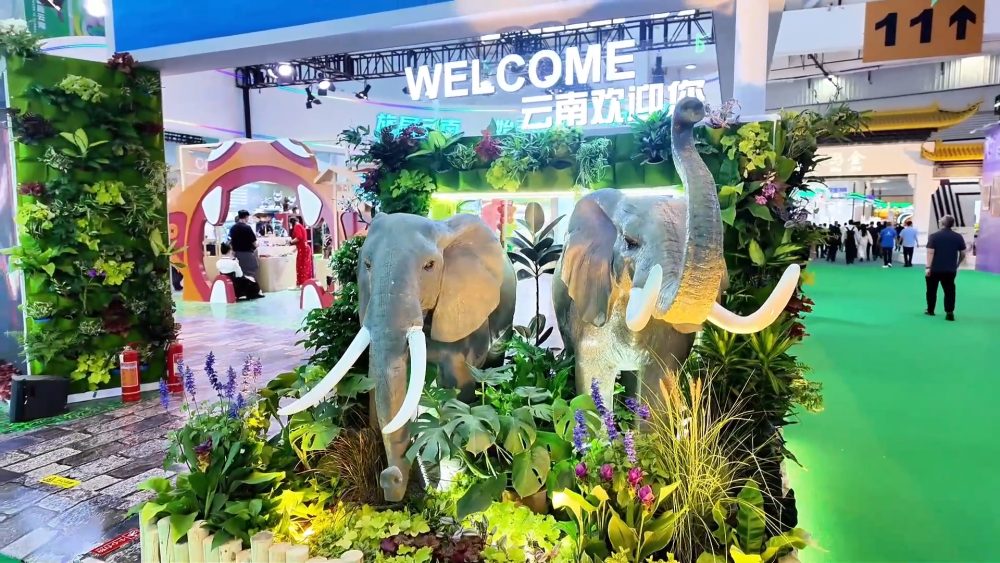 开放合作 共谋发展——多国客商期待南博会助力地区繁荣进步