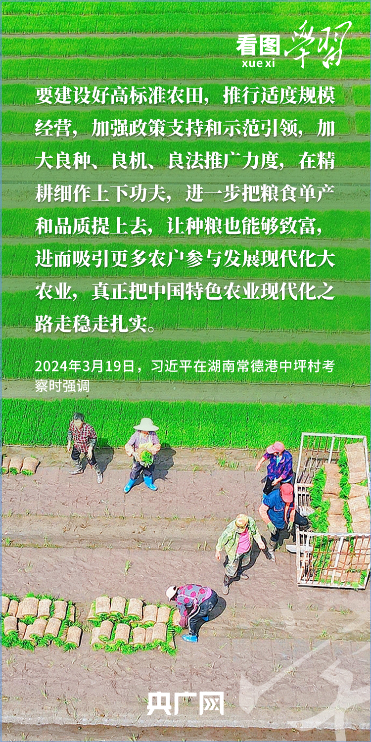 看图学习丨“三夏”时节丰收忙 总书记强调粮食生产年年要抓紧